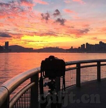 大象传媒破解永久免费-探索大象传媒的免费之路，数字时代的版权与共享智慧