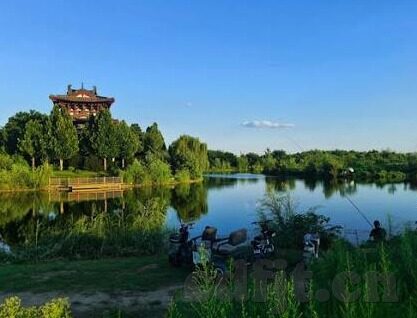 麻豆传媒吴梦梦-麻豆传媒与吴梦梦，当代网络生态的多元化视角