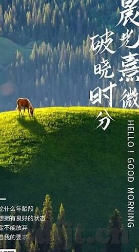 人妻大香蕉-探索人妻大香蕉的甜蜜与温情，爱的果实，家的味道