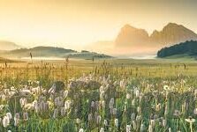 糖心直播视频APP-领略糖心直播视频APP，网络直播新风尚的深度体验