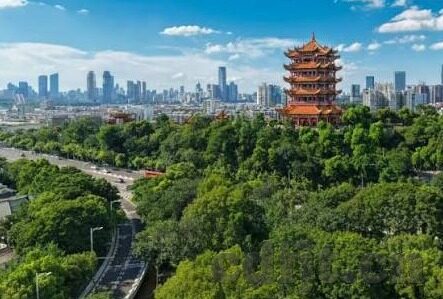 下载麻豆app-麻豆APP的全方位解析，非凡体验与下载引导
